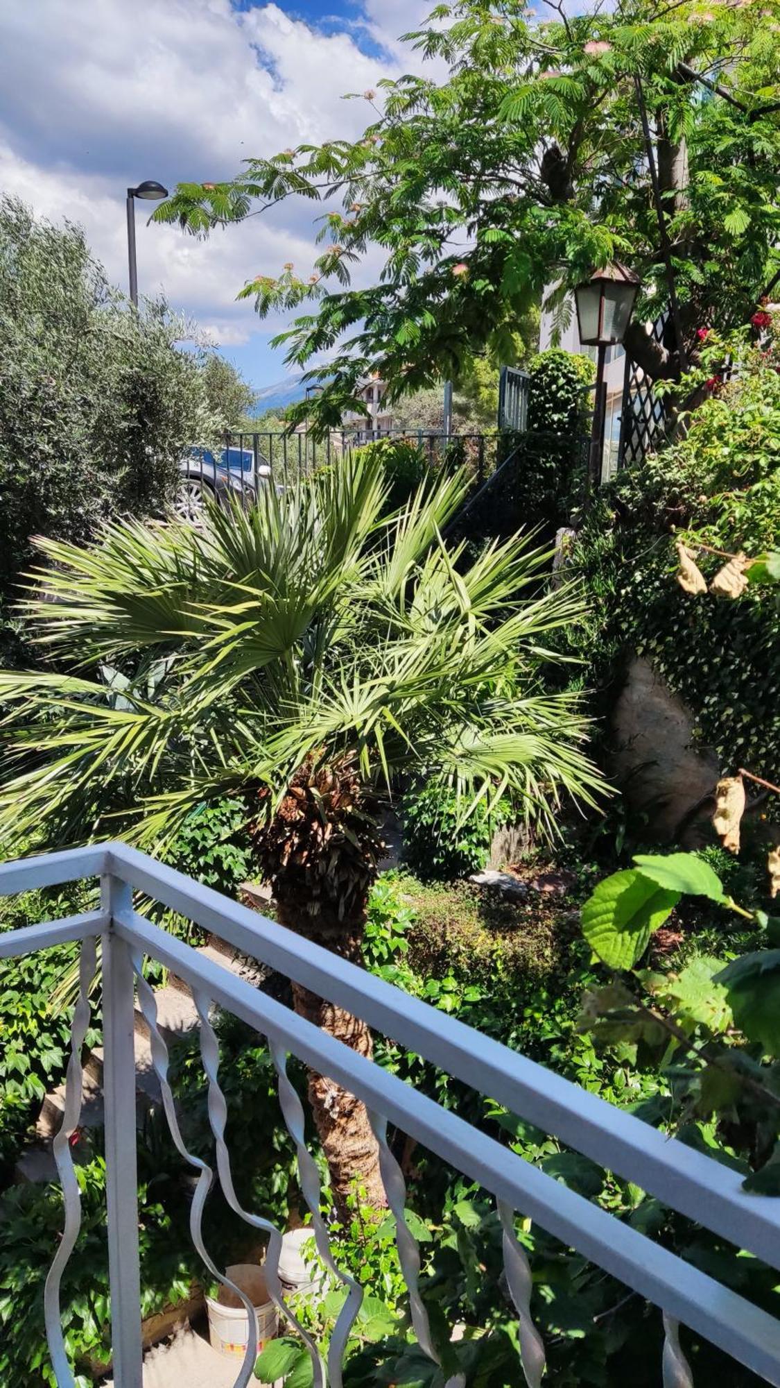 Apartmani Famelja Jovanovic Sveti Stefan Zimmer foto